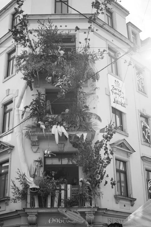 Mirabelle - Wohnen In Der Dresdner Neustadt Dresden Dış mekan fotoğraf